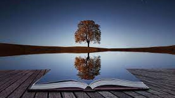 reflection tree